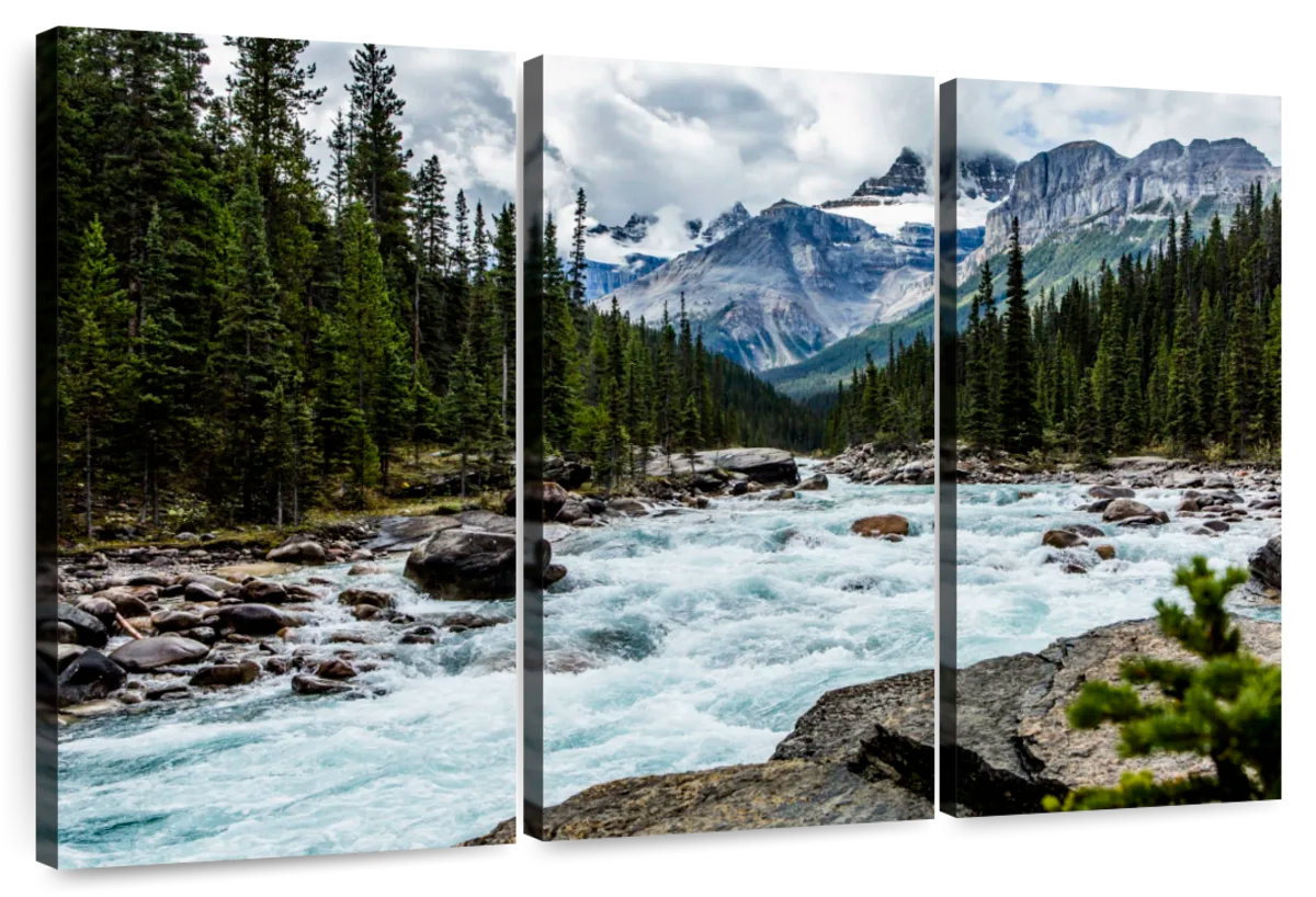 Millwood Pines Alvord Mistaya Canyon River - Wayfair Canada