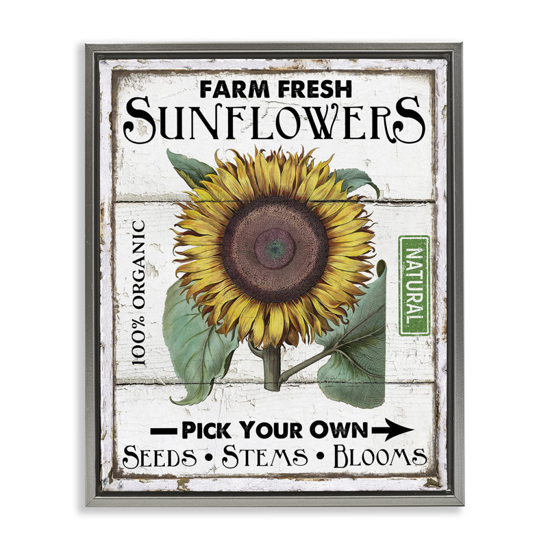  «Rustic Farm Fresh Sunflowers», art mural encadré sur toile flottante par Creatif Belle, H 21 po x l 17 po