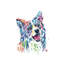 Border collie par Lisa Whitehouse - Reproduction d'art graphique sur papier encadré-52544933-52544934-52544942