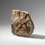 Genuine Ophiuroidea Brittle Star Fossil (2.35 Lbs)