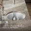 Porto Fino™ Top-Mount/Under-Mount Bar Sink-10535989