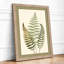 Study in Ferns Botanical - Framed Print-1857950281-1857950286