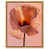 Gold Floater Frame is unavailable