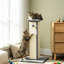 81cm H Cat Tree-1707653549