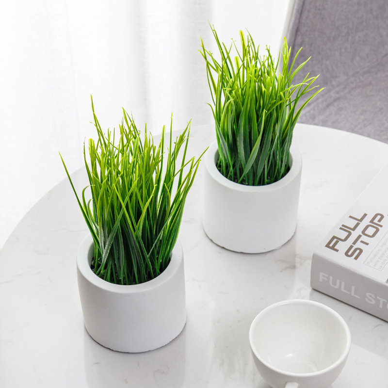 Set of 2 Faux Green Grass in White Cement Round Pots