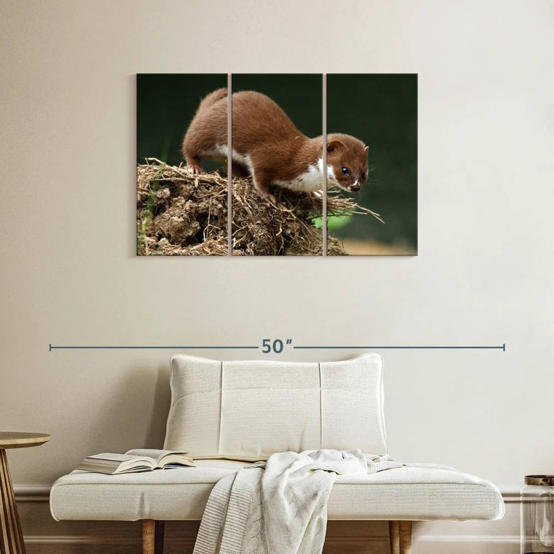Belette de chasse alimentaire, H 24 po x l 38 po