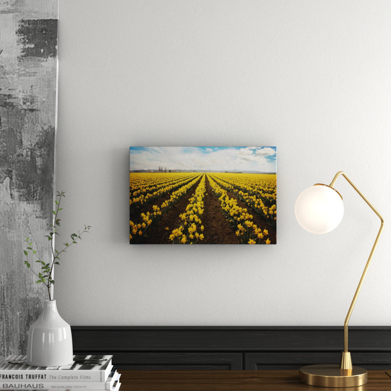 Sylvia Cook - Wrapped Canvas Painting, 30 cm H x 45 cm W x 3.81 cm D