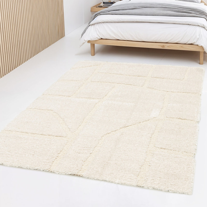 Abstract Shag Area Rug, Rectangle 200 x 290 cm