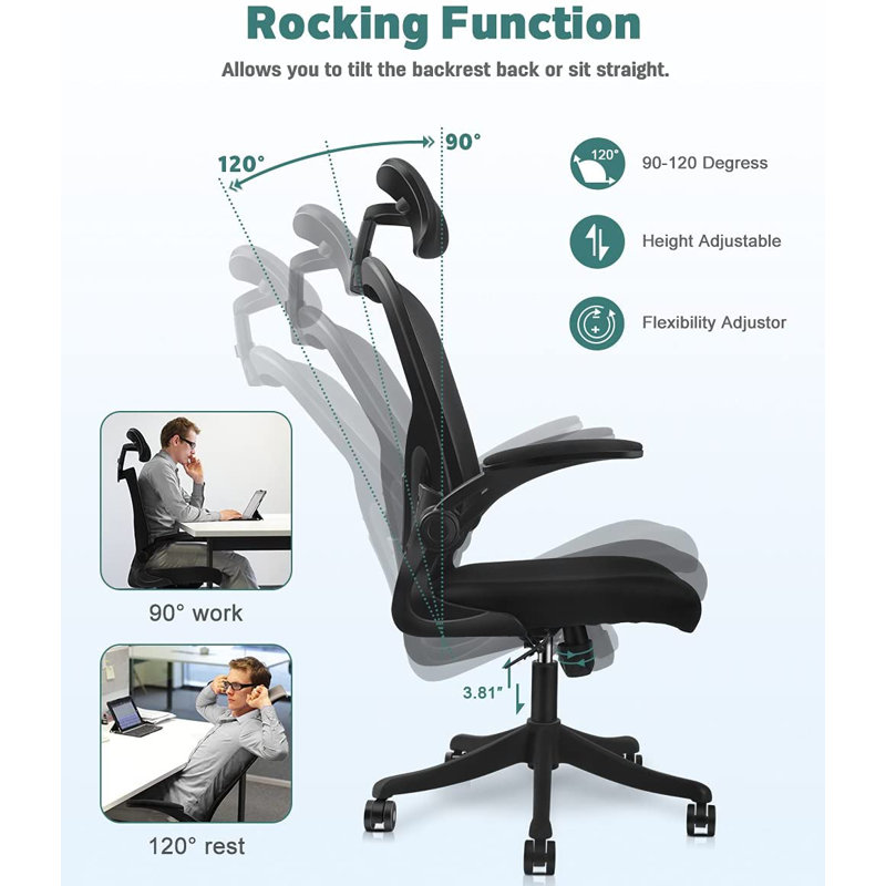 Chaise de bureau ergonomique en filet Choturam avec accoudoirs réglables et soutien lombaire, Noir