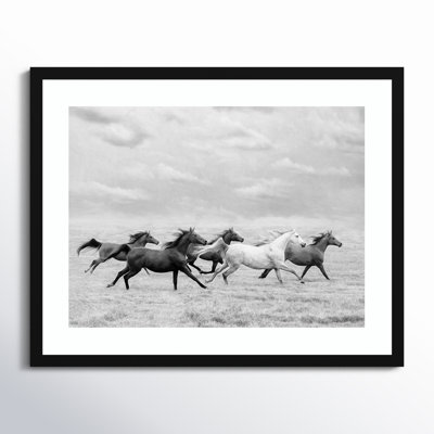 Horse Run I by PHBurchett