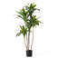Faux arbre 54 po Dracaena Fragrans