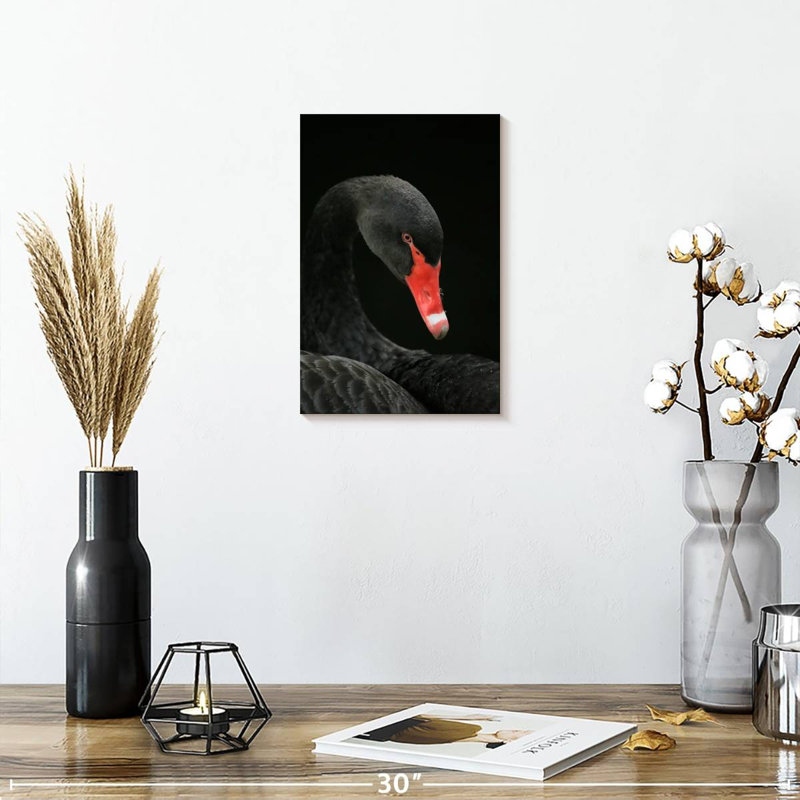 Brampt Black Swan Head, 12" H x 8" W