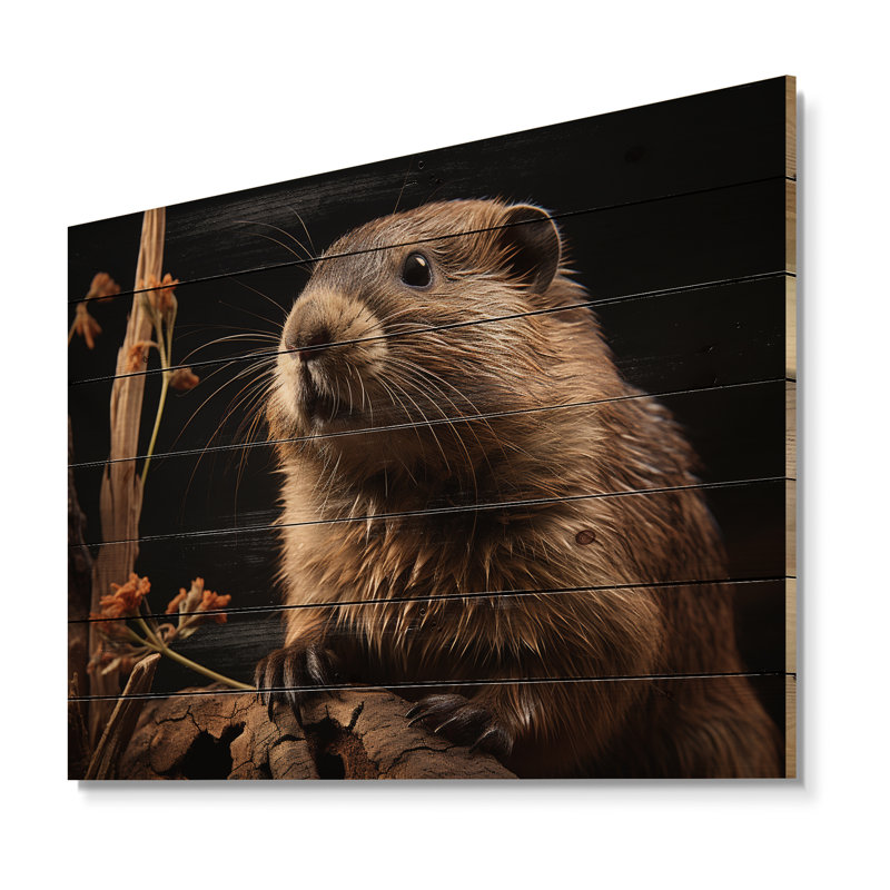Portrait de castor sur bois, H 24 po x l 32 po x P 0,78 po