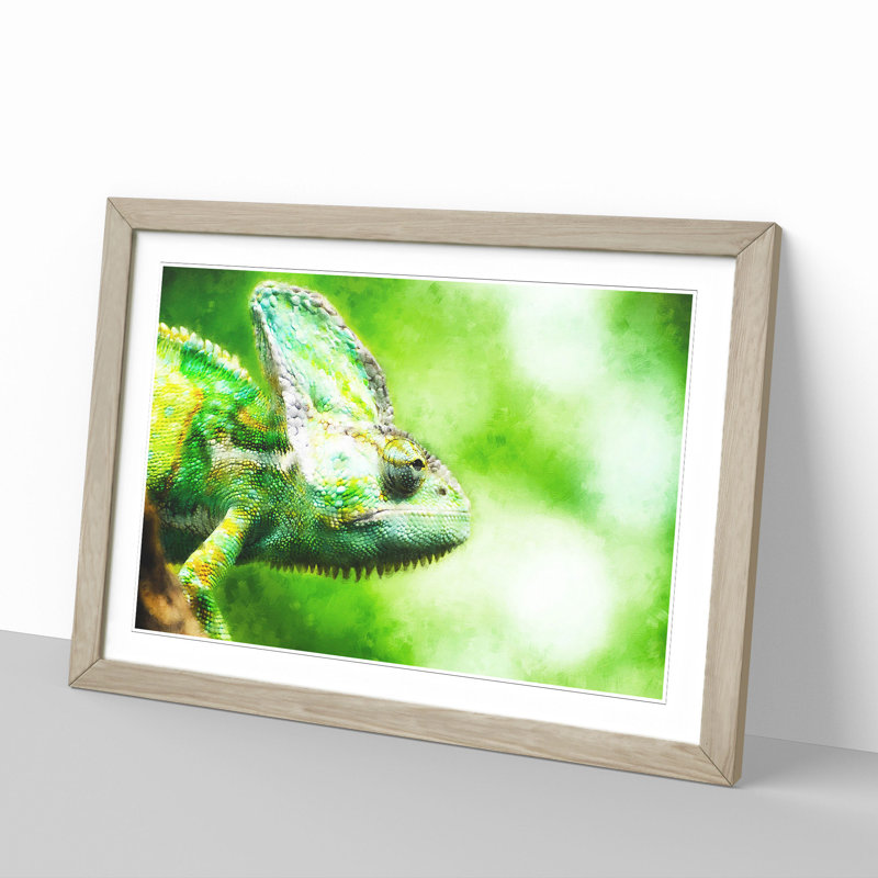 Chameleon Lizard Vol.1 - Framed Print, 27cm H x 36cm W x 2cm D, Oak Framed