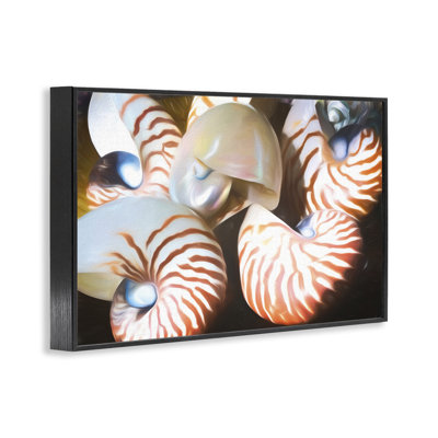 Nautilus Shells Cluster Framed Giclee Art by Graffi*tee Studios