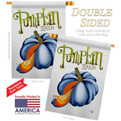 Double Sided 40'' H x 28'' W Polyester House Flag