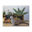 No Frame Print on Canvas-783518660