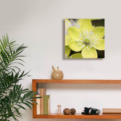 " Yellow Blossom " by PhotoINC Studio