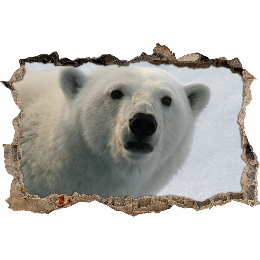 Überraschender Eisbär Wandsticker