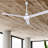 Dutton 60'' Ceiling Fan-551626425
