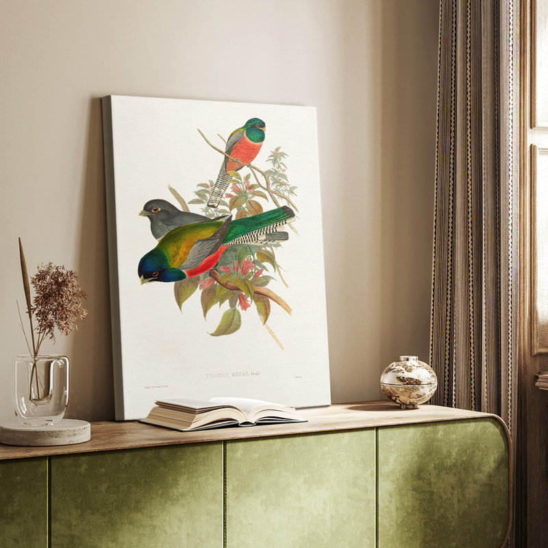 ElegantTrogonsVII - Cavas de galerie sur mesure