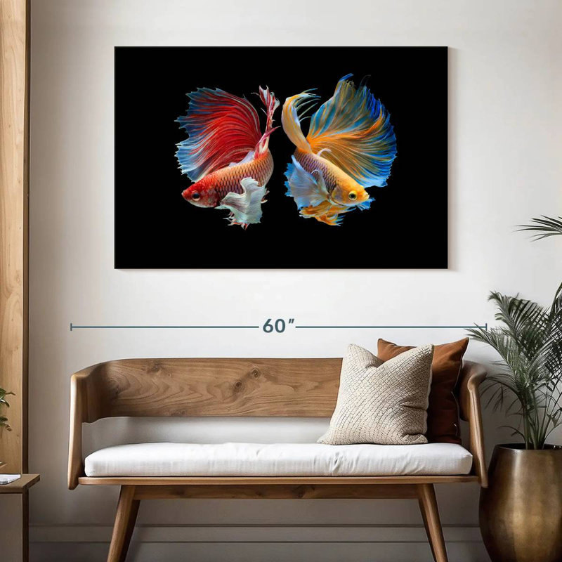 Betta Fish In Sync, H 32 po x l 48 po