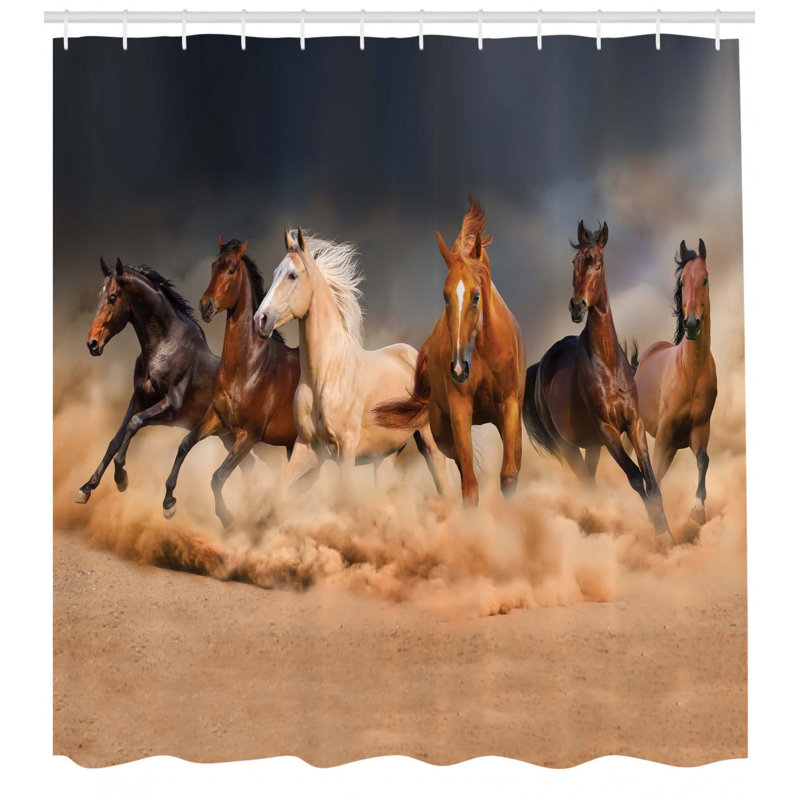 Ensemble de rideau de douche cheval + crochets, H 75 po x l 69 po