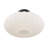Mason 1-Light Ceiling Light in Matte Black-1068367304