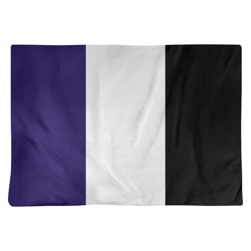 Récapitulatif 18" à rayures de football baltimore, Blanc