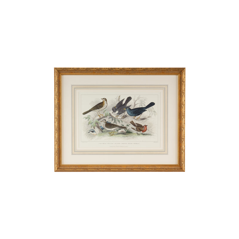 Skylark Song Thrush And R/Breast Print