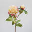 Peony Faux Floral-1036916917-1036916919