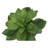 Artificial Plant