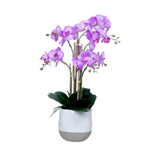 27.5" Artificial Faux Purple Orchid Arrangement in Planter | Real Touch Purple Moth Phalaenopsis Orchids by Fiori Sempre