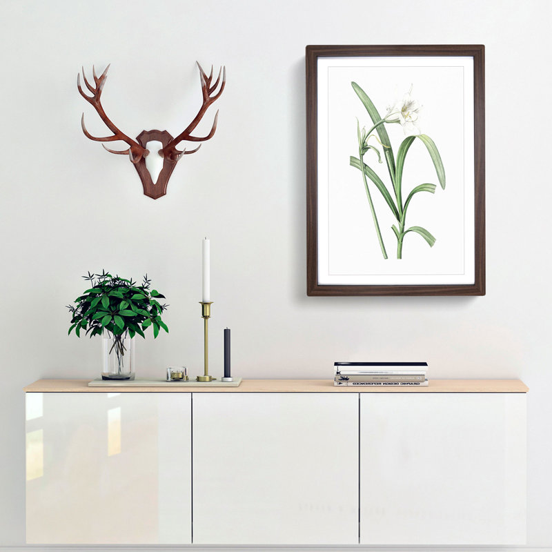 Peruvian Daffodil Flower by Pierre-Joseph Redoute - Picture Frame Painting Print, Walnut Framed, 48cm H x 36cm W x 2cm D