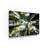 Avisha 'Redwoods' Photographic Print on Wrapped Canvas-25332224