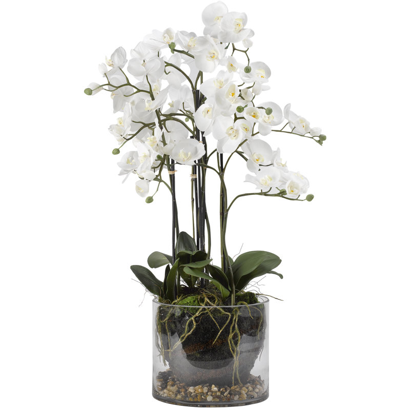 White Orchids - Glass Dish