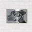 «Bird Dog Scratch» par Dean Russo-441606412