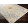 Cabe Oriental Indoor Rug