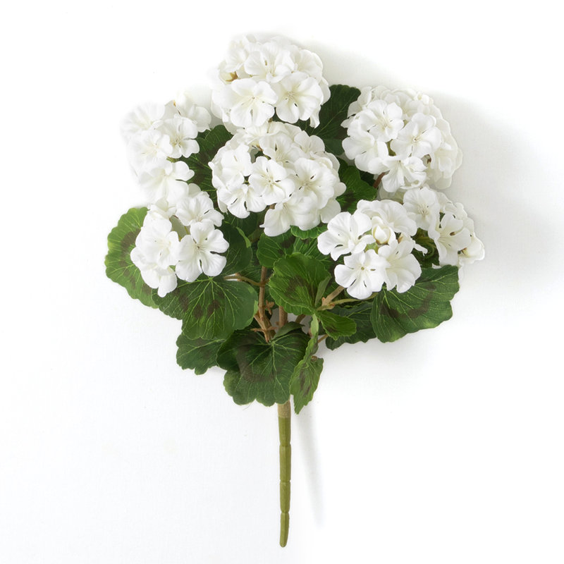 Geranium Arrangement, White