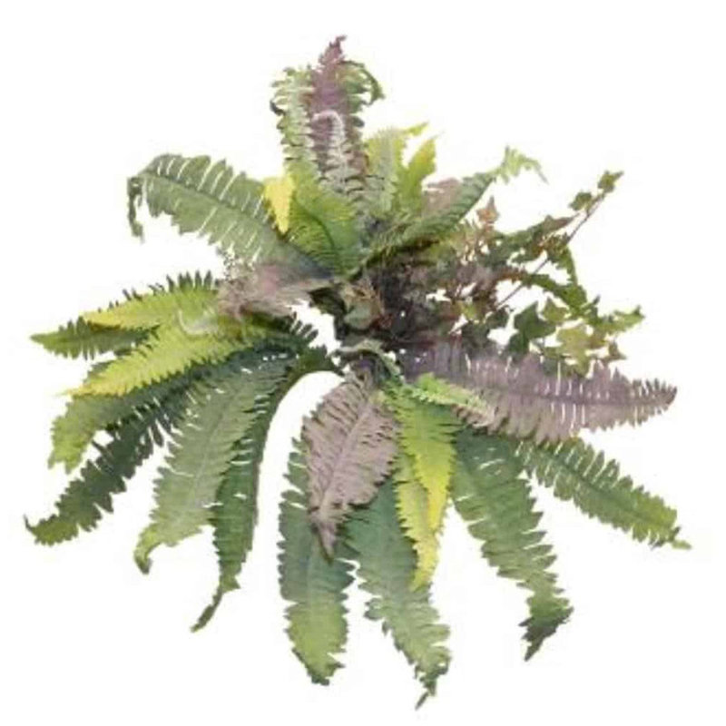 Silk Boston Fern Arrangement