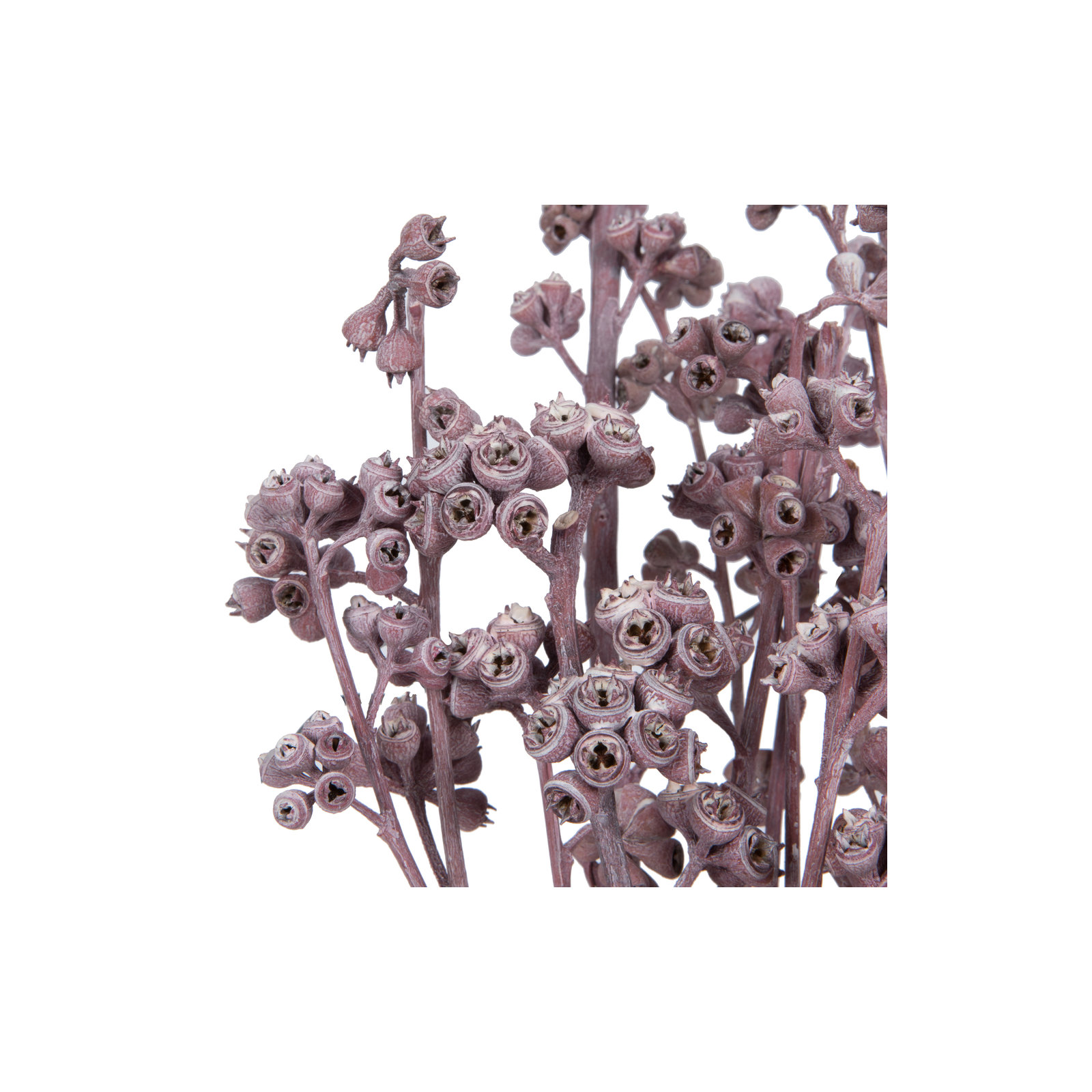 13'' Branch, Erika Pink