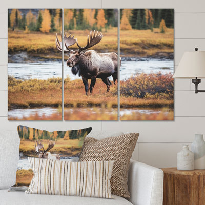 «Moose In Alaska Scenery I», reproduction sur toile 3 pièces