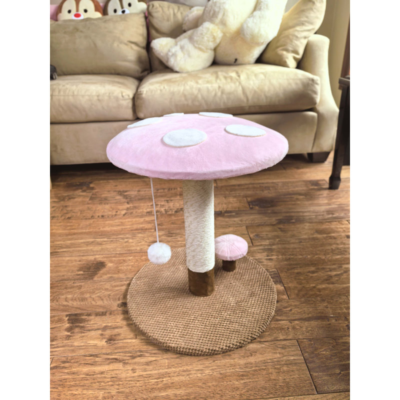 Desteni Scratching Post