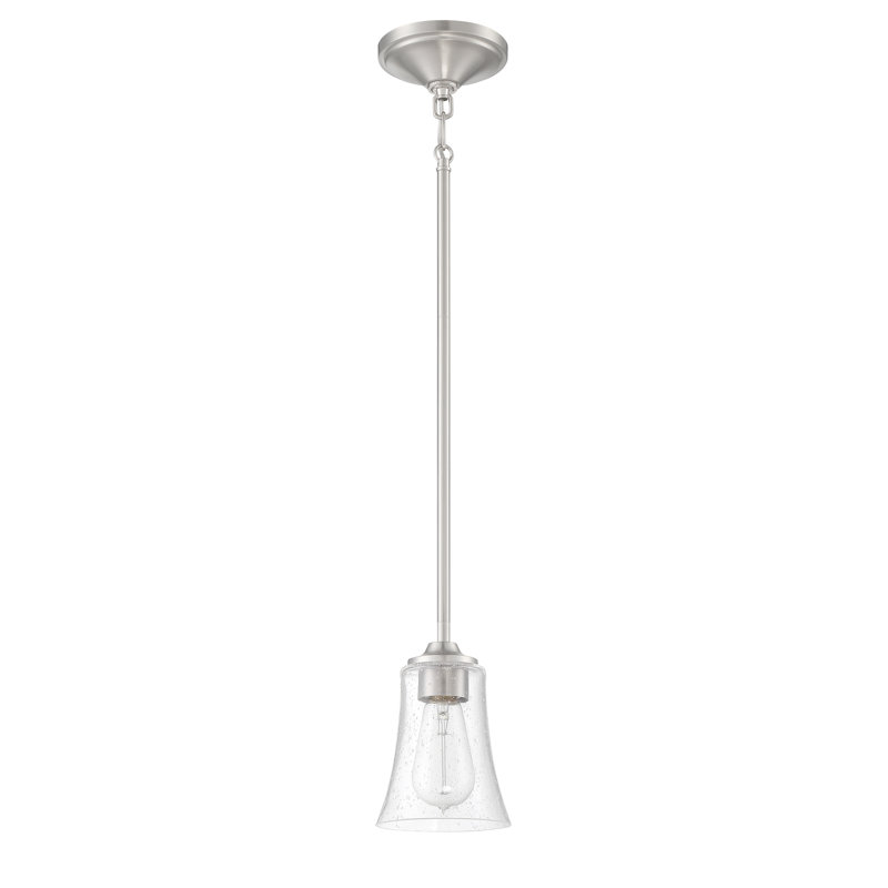 Luminaire suspendu 1 cloche à simple cloche wilcox, Nickel poli brossé, Martelée transparente