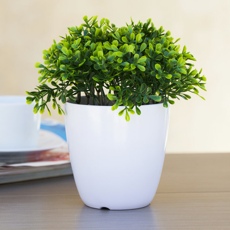 Eucalyptus artificiel 8 po en pot