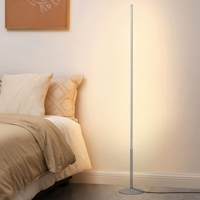 2 Pack 147cm Modern LED Floor Lamp