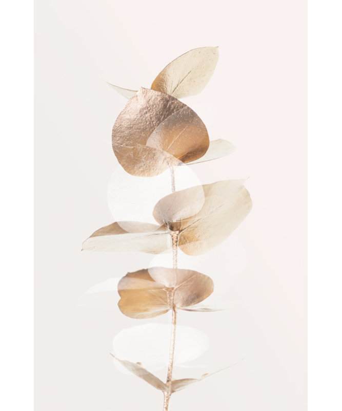 Wrapped Canvas Print, 76.2 cm H x 50.8 cm W