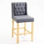 Boutin Upholstered Counter Stool