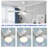 Damecia 52'' Ceiling Fan with LED Lights-1444270907