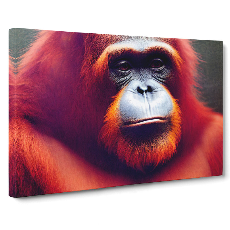 The Calming Orangutan - Wrapped Canvas, 40cm H x 60cm W x 3cm D